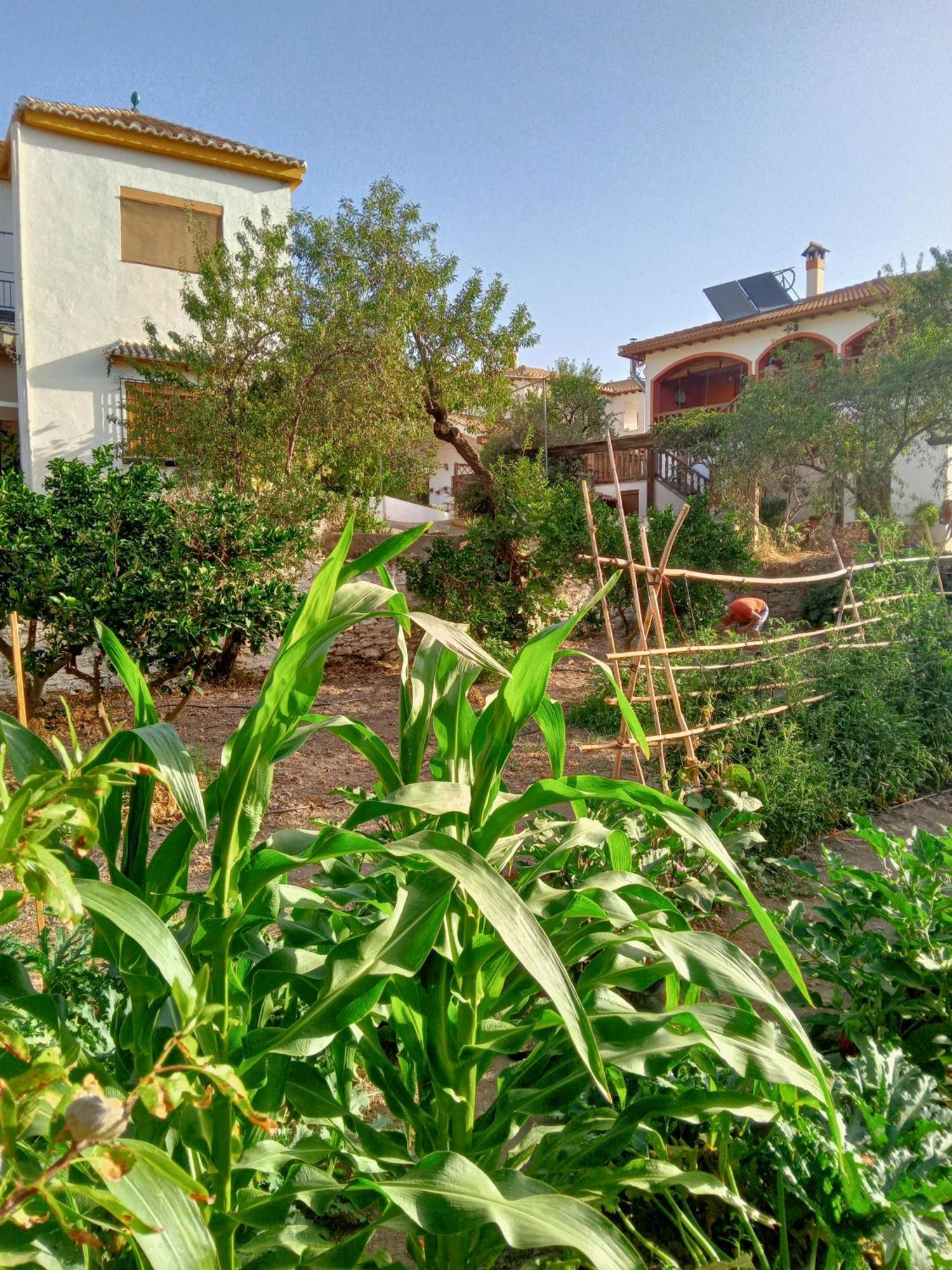 Tuguest Hortichuela House Ugijar Exterior foto